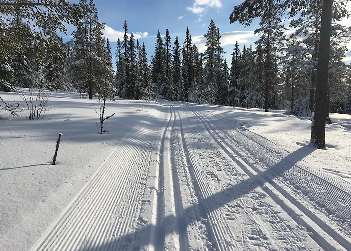 Voksenasen Hotell; Western Signature Collection Hotell Oslo