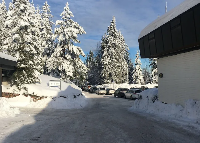 Hotell Voksenasen Hotell; Western Signature Collection 4*